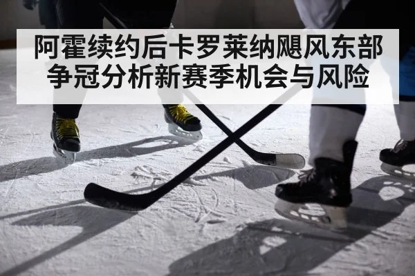 阿霍续约后卡罗莱纳飓风东部争冠分析新赛季机会与风险（kaiyun）